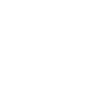 Ned Marine